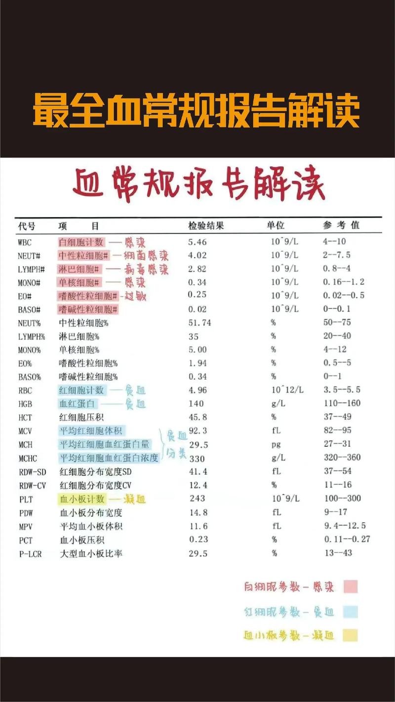 以下是关于血常规的详细介绍：