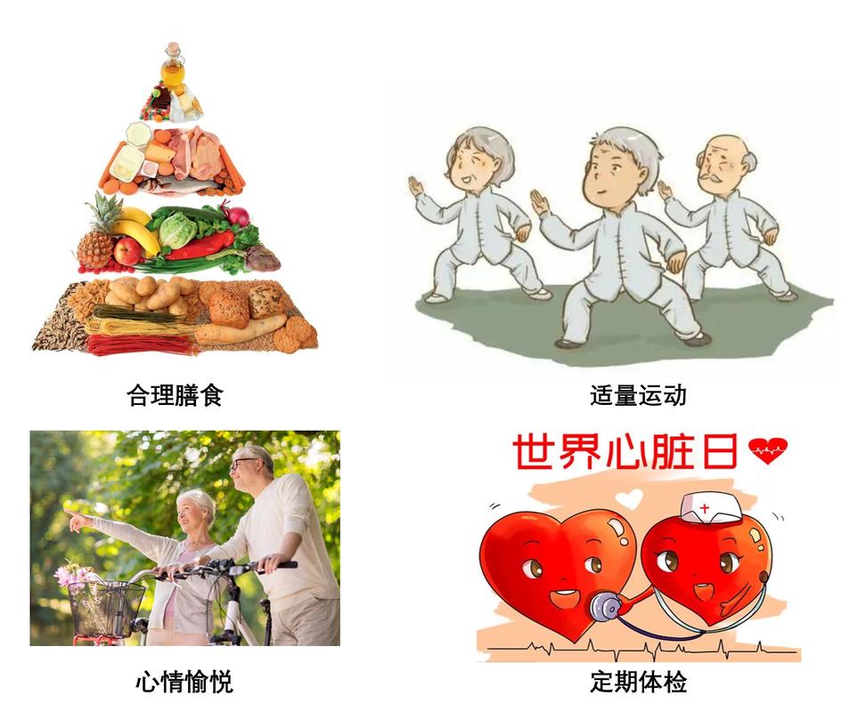 守护生命的韵律：心率的奥秘与健康之钥