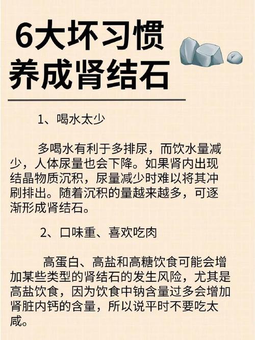 肾结石：全面解析与科学应对