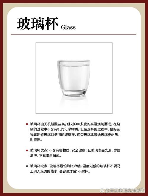 水杯的哲思与实用价值探索