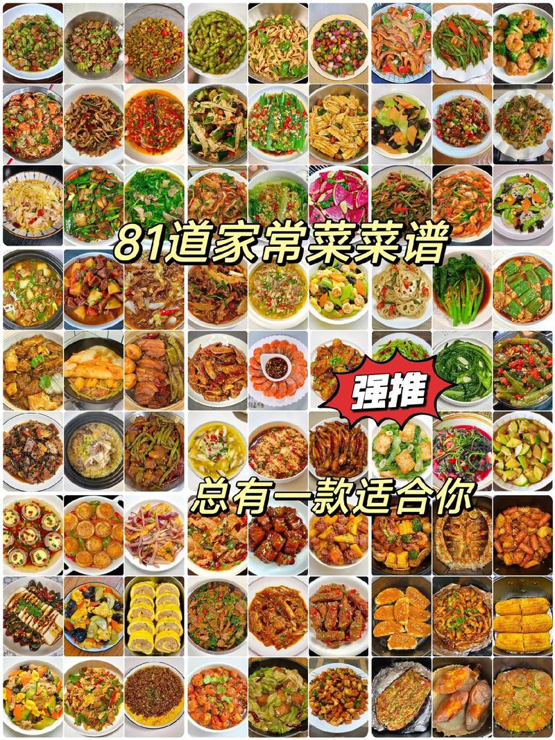 家常菜谱大全：舌尖上的家庭美味