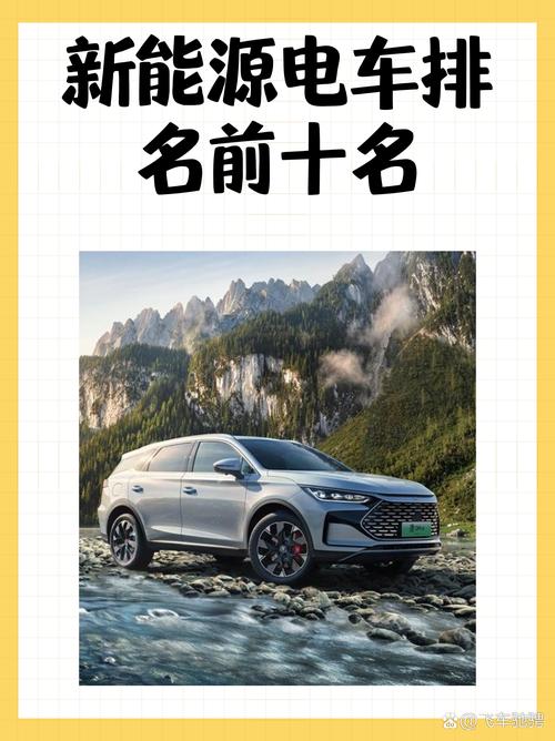 比亚迪：新能源汽车领域的领军者