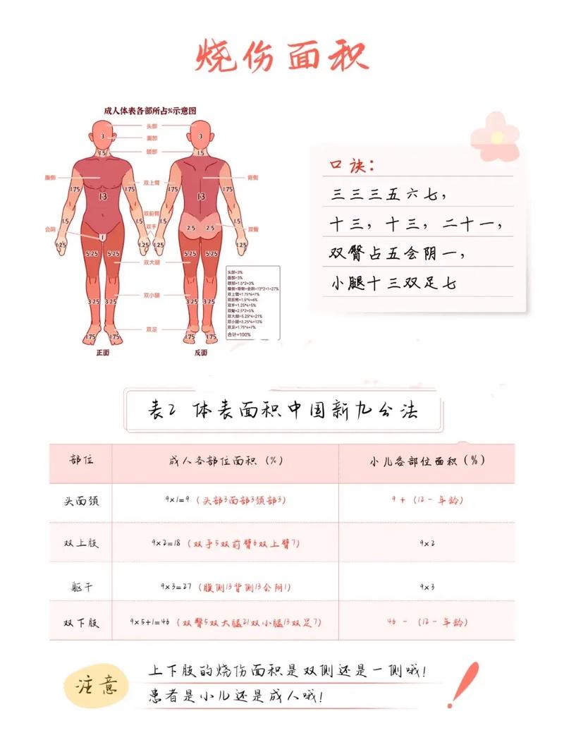烧伤的治疗与护理：从急救到康复的全方位关怀