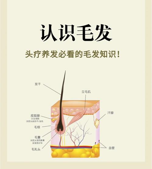 毛发与身体护理类：全面解析与实践指南