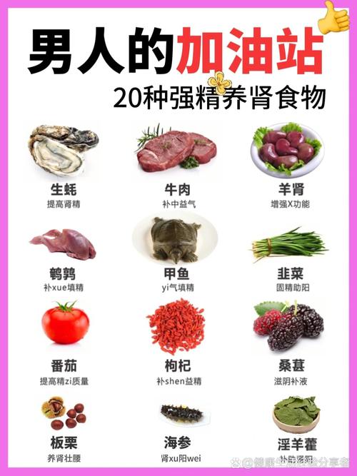 全面解析补肾食物：从理论到实践，打造健康肾功能
