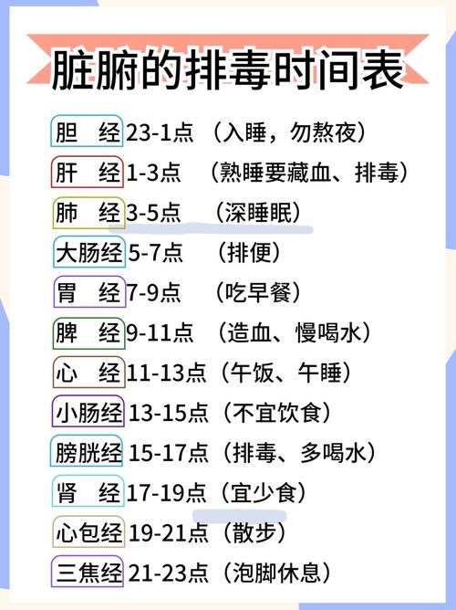 排毒养生方法：守护健康，焕活身心