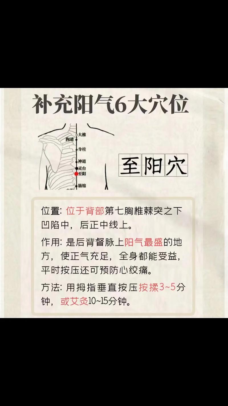 穴位养生：开启健康之门的自然疗法