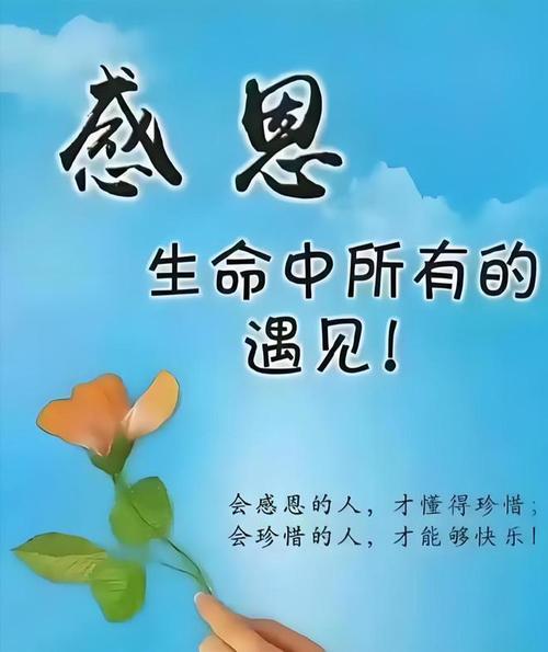 感恩生活：在平凡中绽放的温暖之花