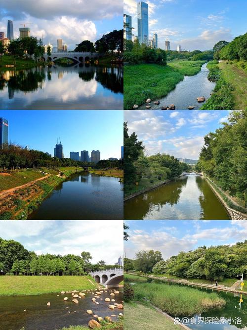 绿意盎然，漫步福田河畔——探索福田河绿道