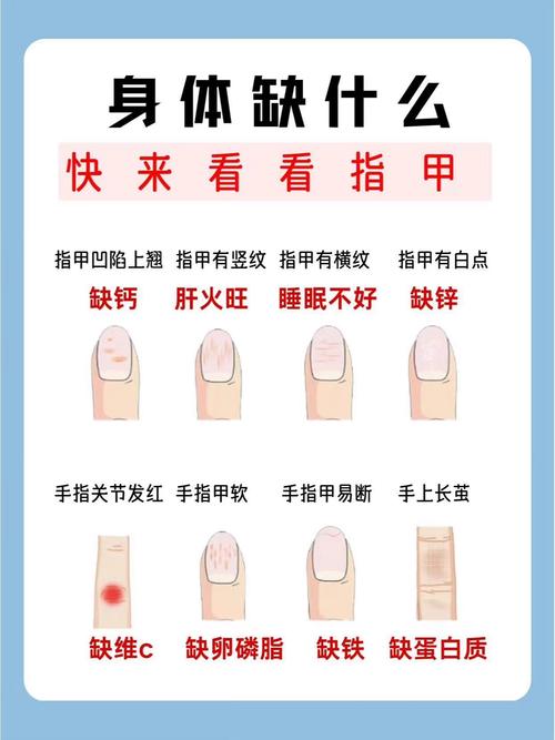 全面指南：指甲保养的艺术与科学