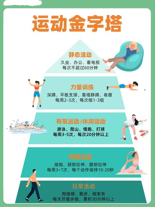 运动与营养吸收：探索身体能量的奥秘