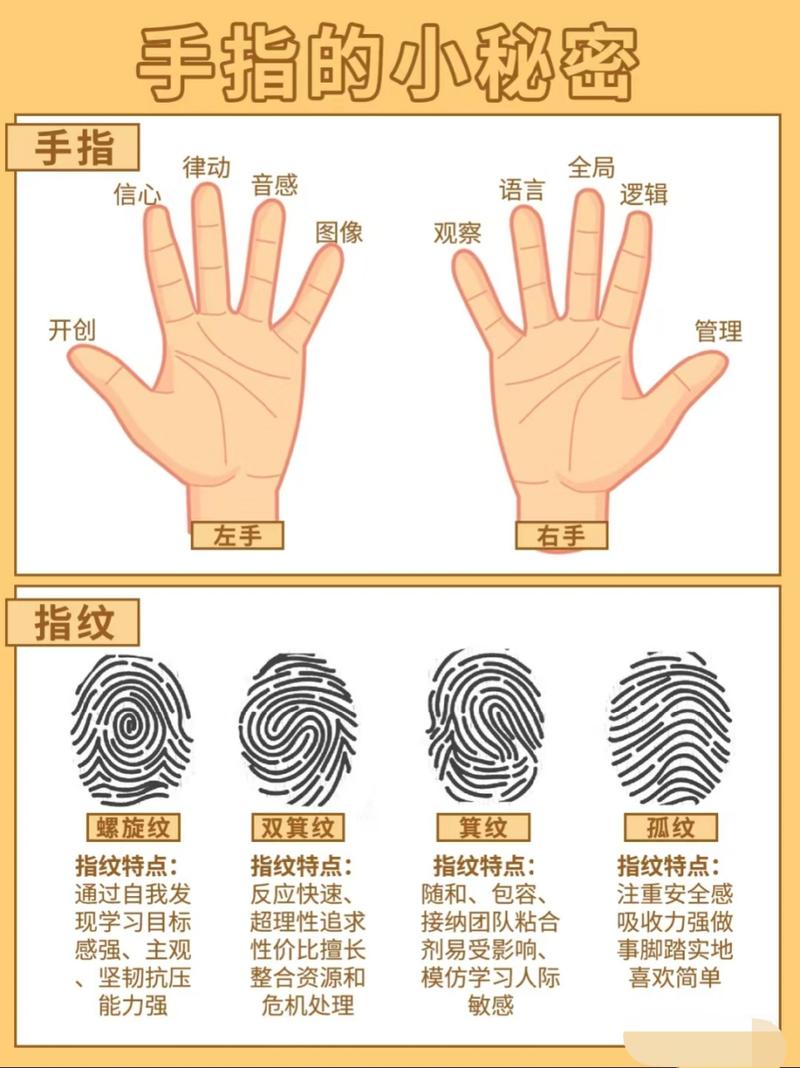 指纹识别技术：从原理到应用的深度剖析