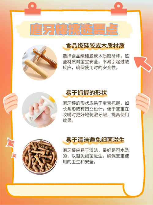 磨牙棒的科学使用方法与注意事项