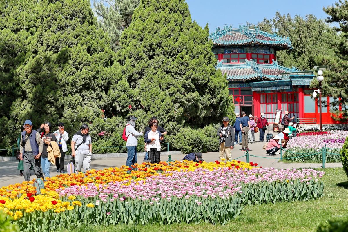 详细阅读:人民公园:城市中的绿色瑰宝与文化传承 人民公园:城市中的绿色瑰宝与文化传承