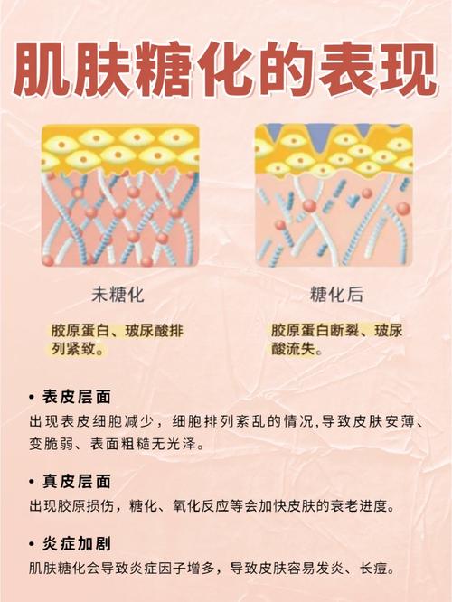 肌肤抗糖化：守护肌肤年轻态的奥秘