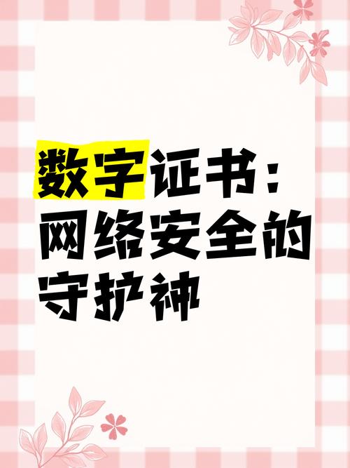 数字证书：网络安全的坚实护盾与信任基石