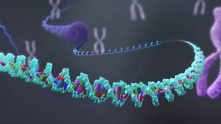 基因测序技术：开启生命科学的新篇章