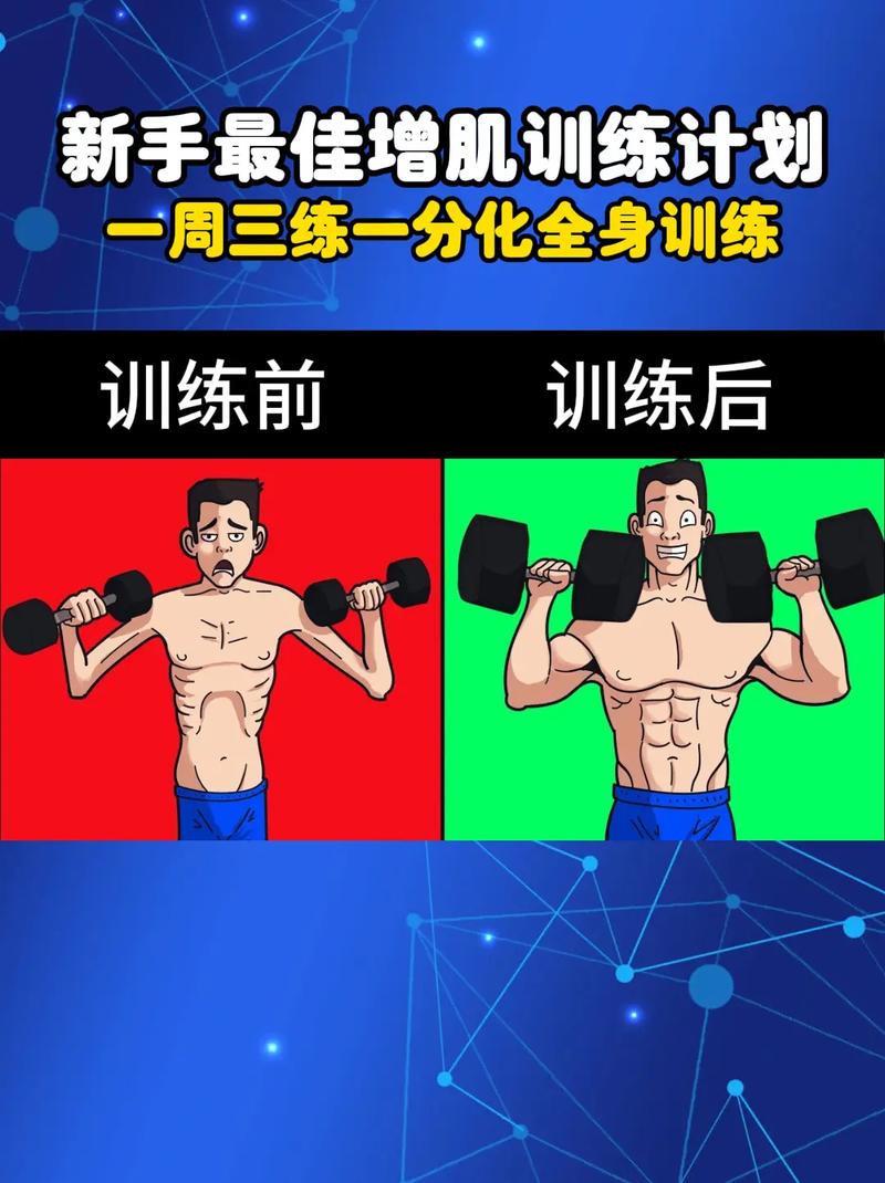 增肌训练：打造强健体魄的艺术
