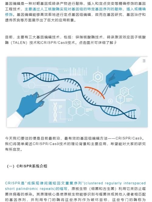 CRISPR-Cas9：基因编辑的“神奇剪刀”