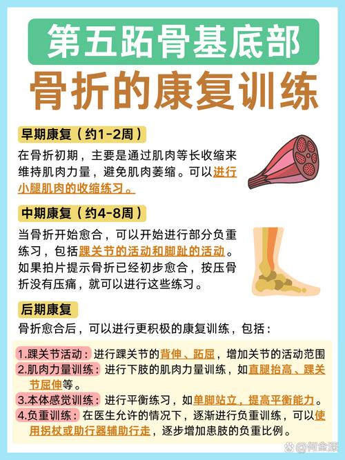 骨折：从预防到康复的全面解析