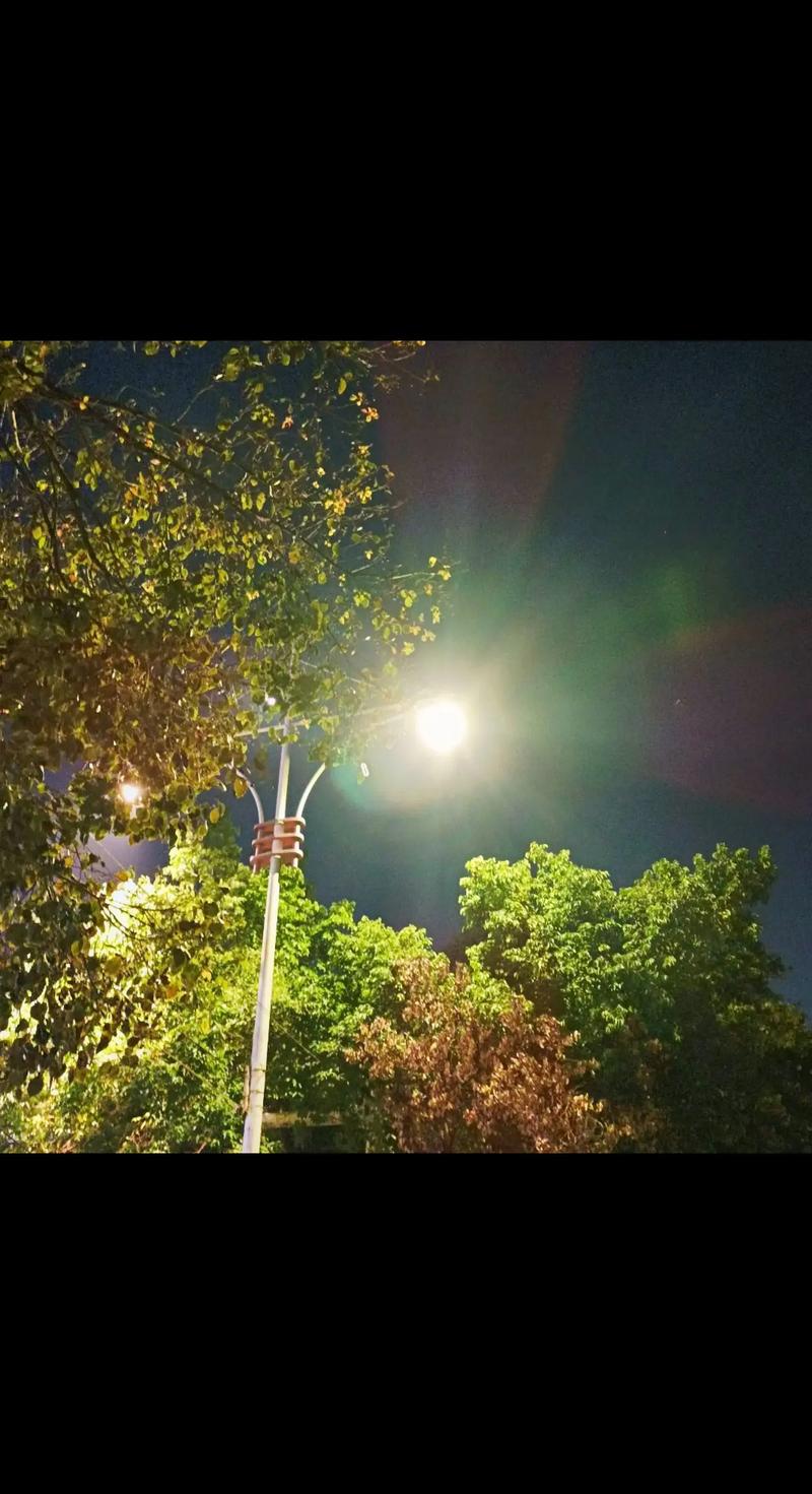 寒夜暖灯：城市角落的温情瞬间