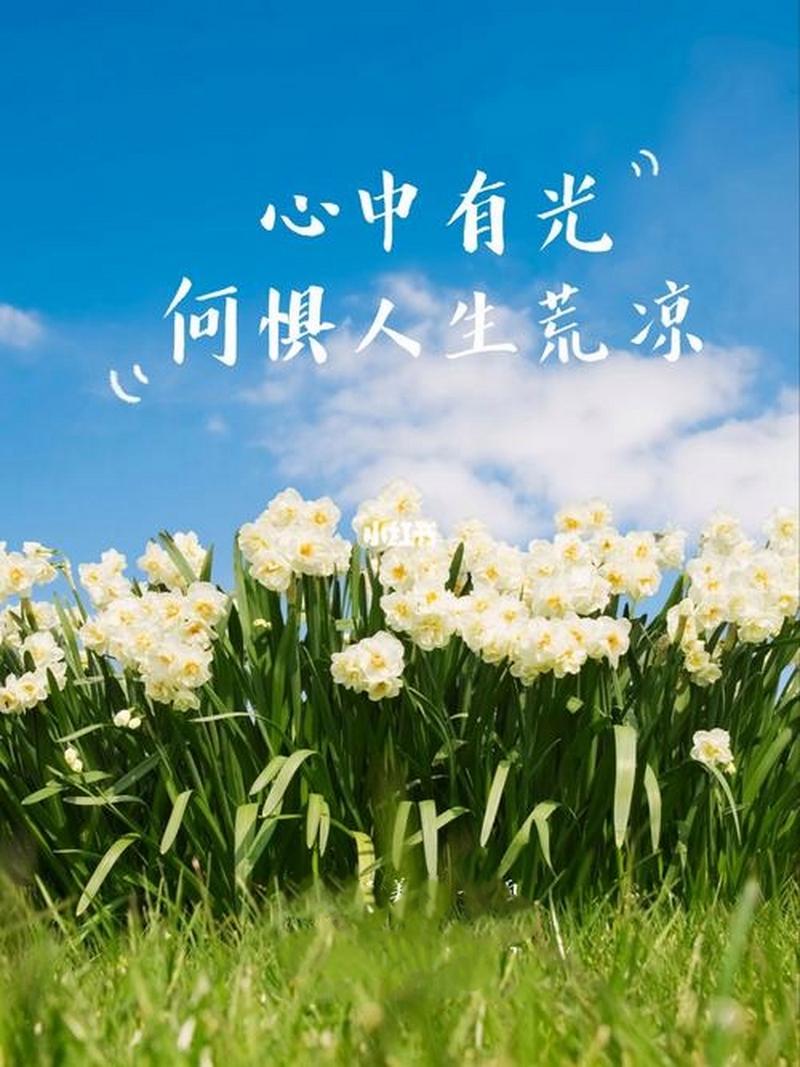 拥抱正能量，点亮人生之光