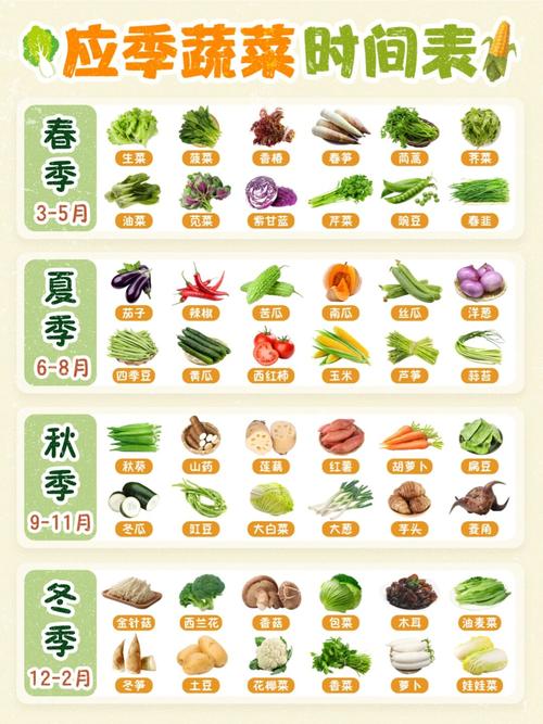 应季蔬菜：舌尖上的四季鲜香密码