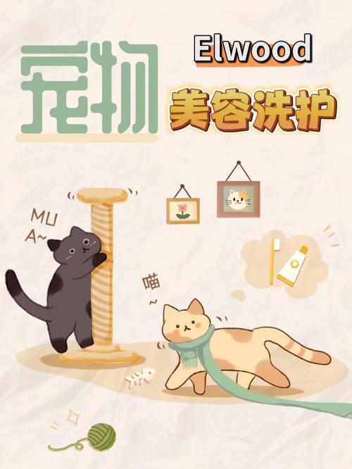 详细阅读:宠物美容护理:让爱宠焕发光彩 宠物美容护理:让爱宠焕发光彩