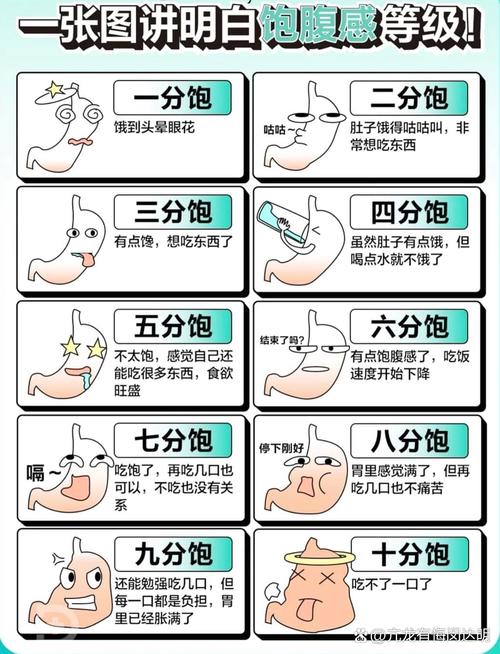 探索食物饱腹感的奥秘：从生理机制到饮食策略