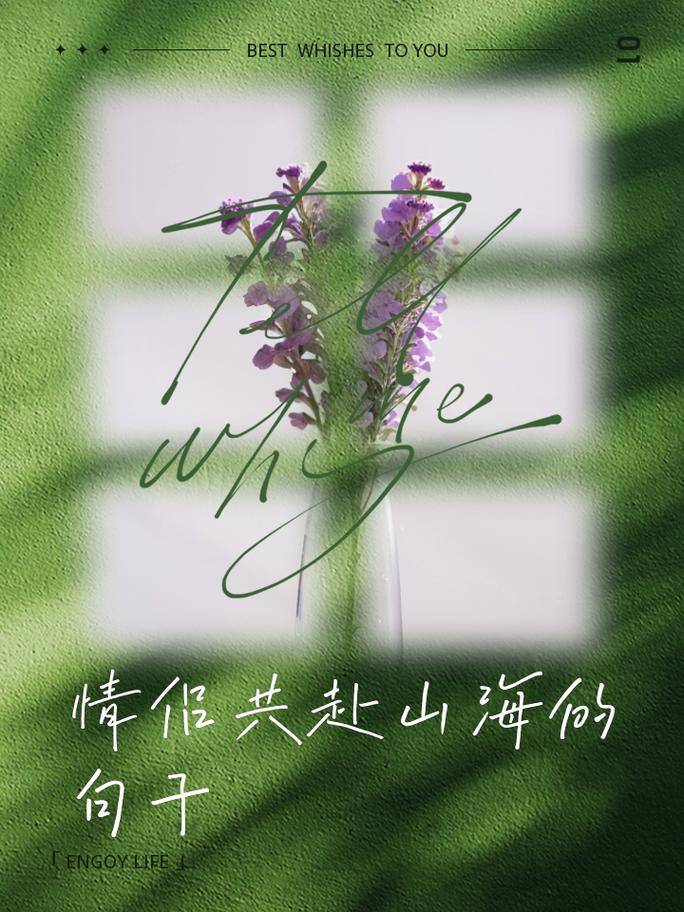 携手共赴爱之巅峰：情侣间契合的升华之旅