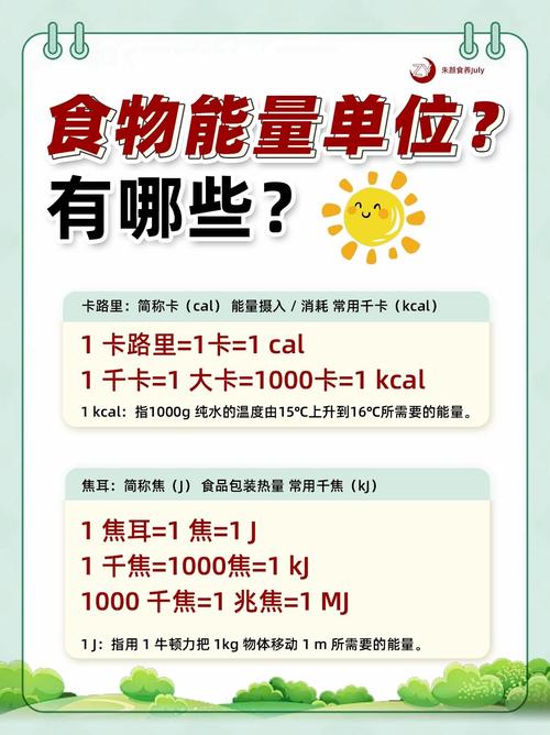 食物热量转换效率：探索能量在人体内的转化之旅