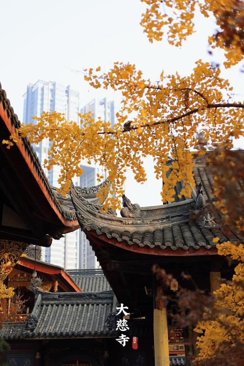 千年古刹的前世今生——成都大慈寺