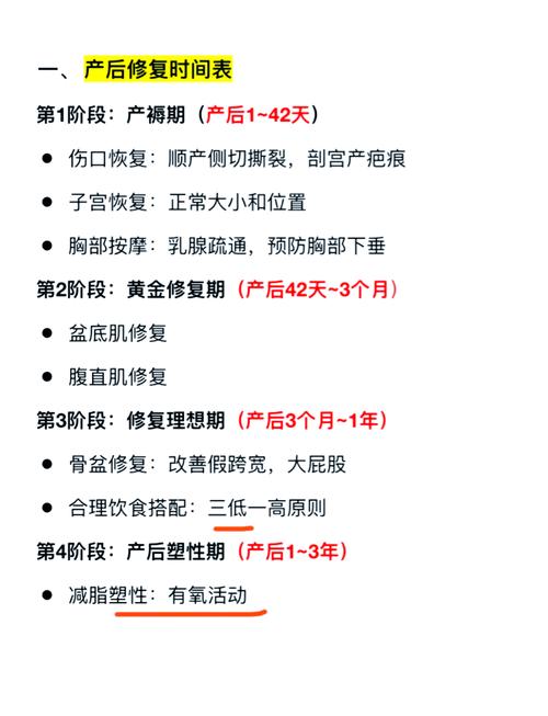重塑身材从“根”开始：产后骨盆修复带的科学选择与使用指南