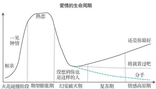 爱情成熟进化：从青涩懵懂到情深意笃的蜕变之路