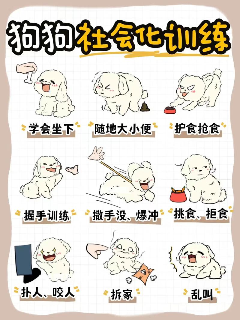 详细阅读:宠物训练成效:见证爱宠成长的奇妙旅程 宠物训练成效:见证爱宠成长的奇妙旅程