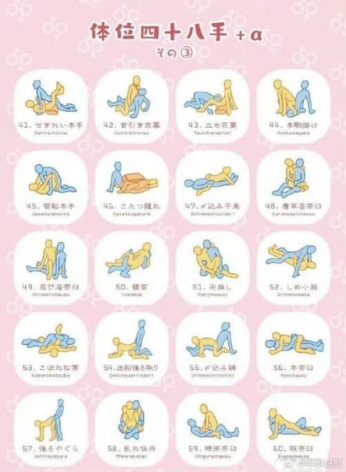 情侣和谐增进程度：深度剖析与提升之道