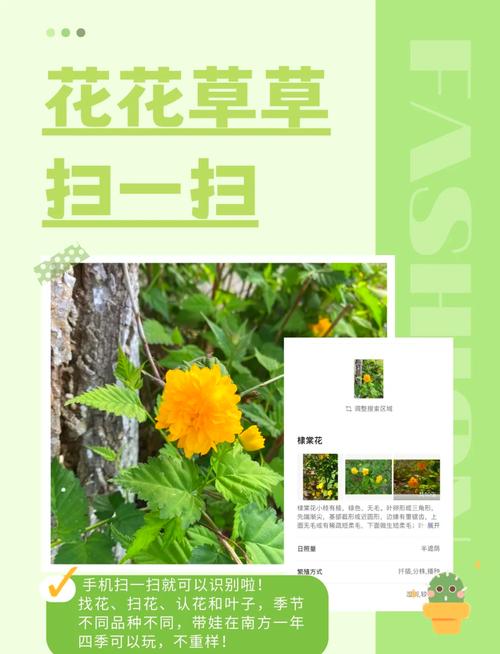 共享自然之趣：亲子户外活动指南