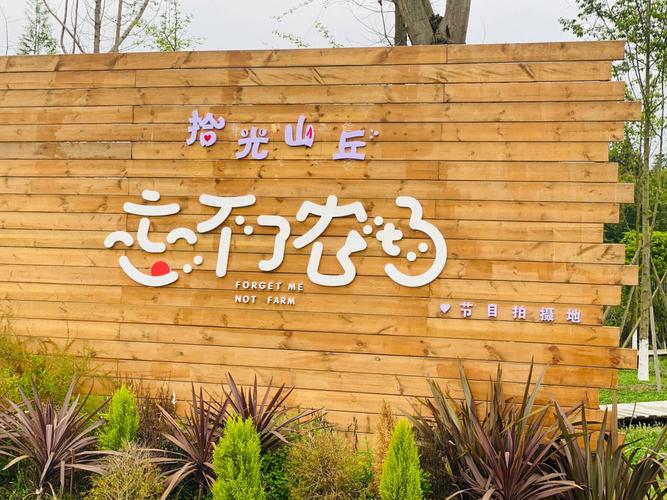 拾光山丘：时光里的心灵栖息地