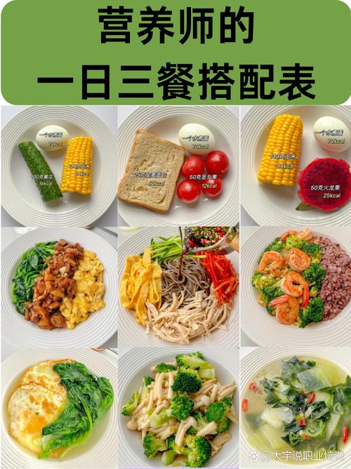营养午餐搭配，为健康活力“充电”