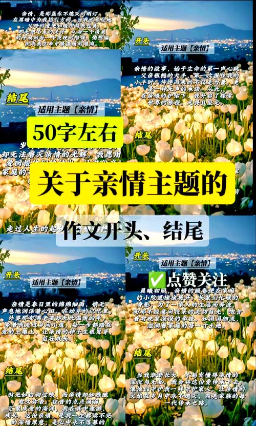 亲情的港湾：心灵深处的慰藉与力量