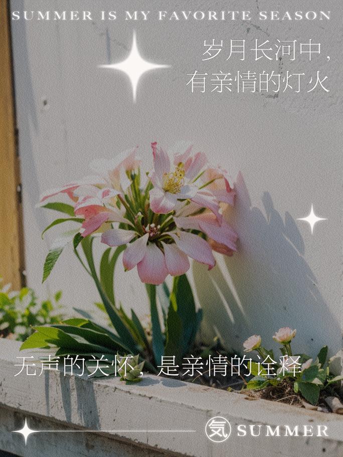 亲情：岁月长河中的温暖灯火