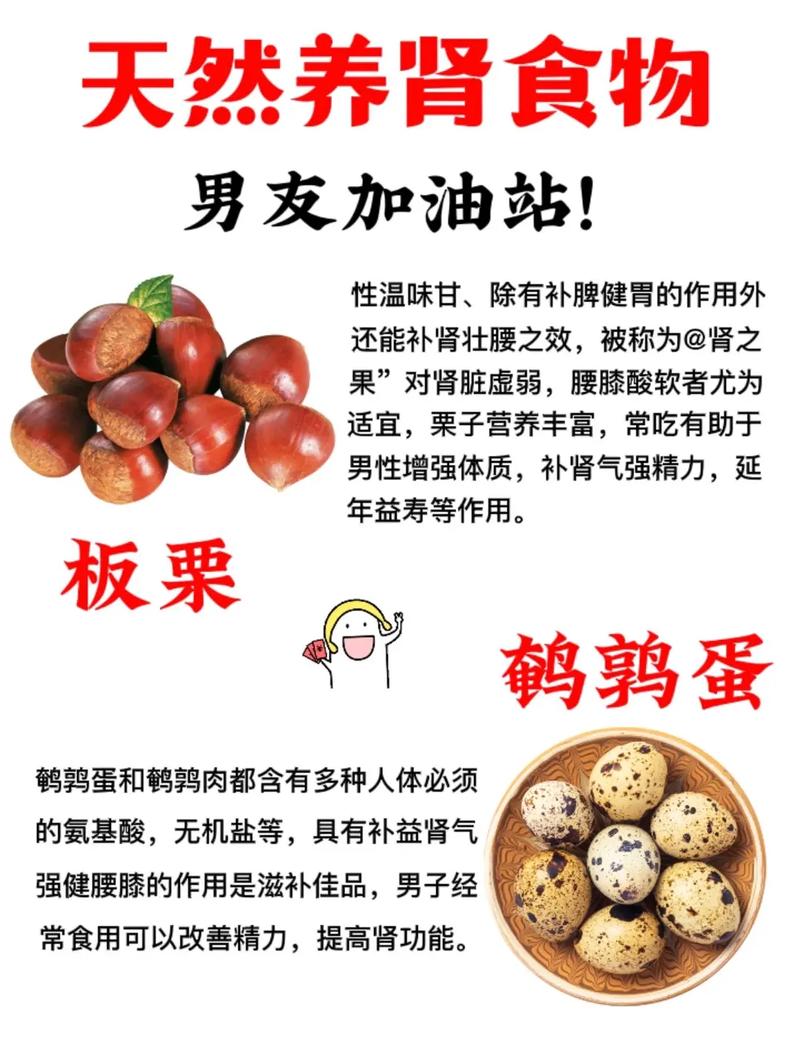 补肾养生：从日常饮食开始的调理之道