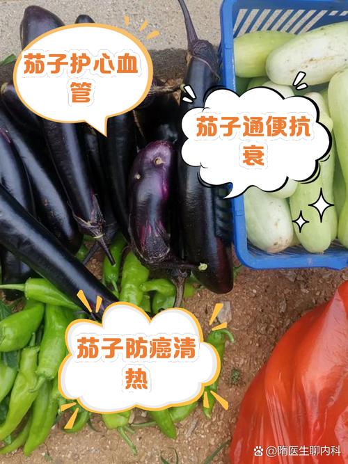 茄子：营养丰富的蔬菜瑰宝