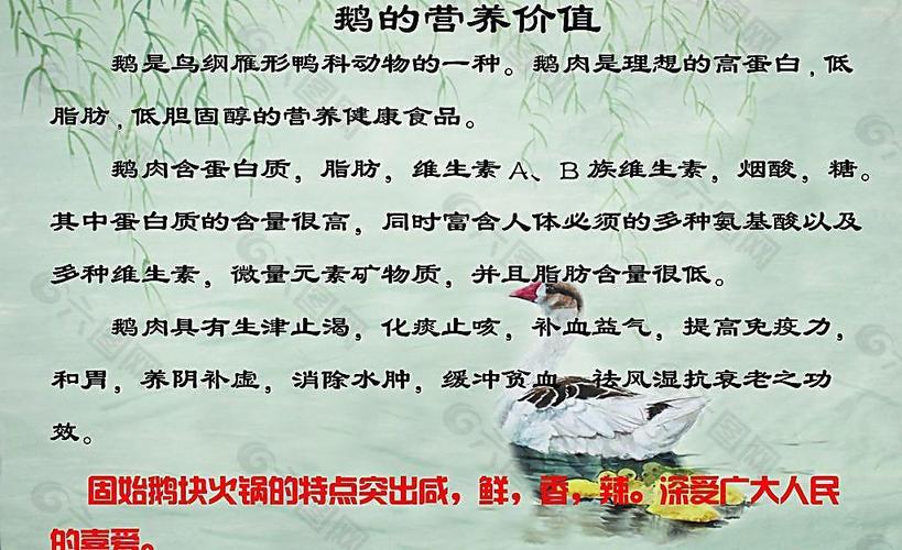 以下是一份关于鹅肉的较为全面的内容：
