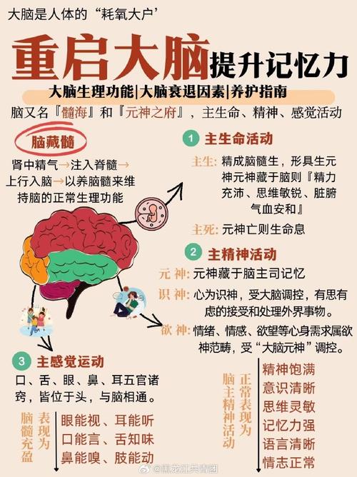 提升记忆力的养生之道：开启大脑潜能的智慧之旅