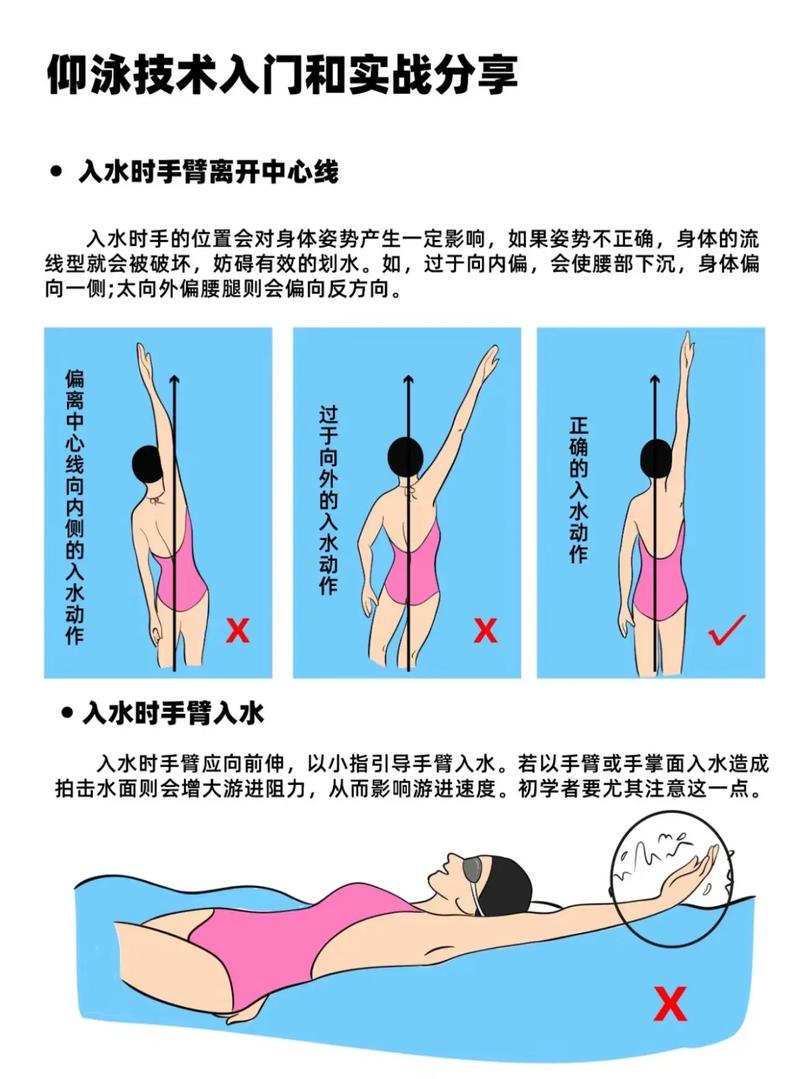 仰泳的技巧与练习