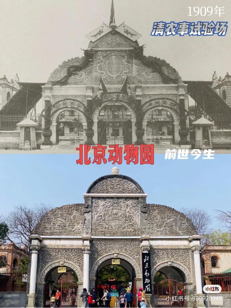 北京动物园：百年历史的动物王国