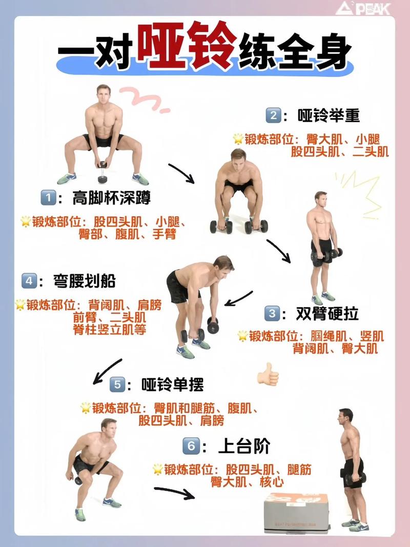 哑铃训练：打造完美身材的全能指南