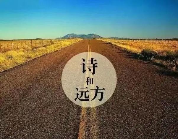 美好事物聚焦：于细微处，寻生活之诗与远方