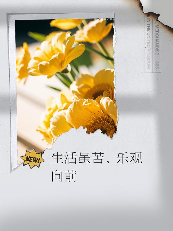 培养乐观态度：点亮生活，拥抱美好